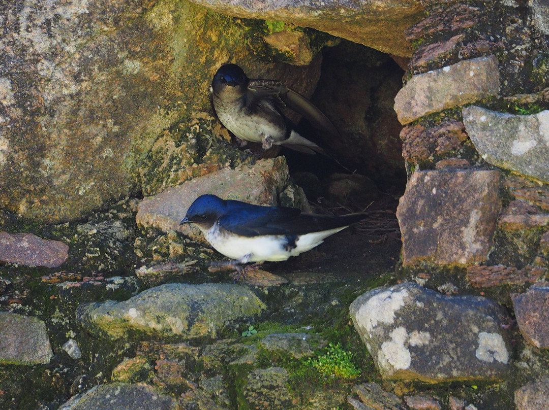 Forte Dom Pedro II-Cacapava do Sul必去景点
