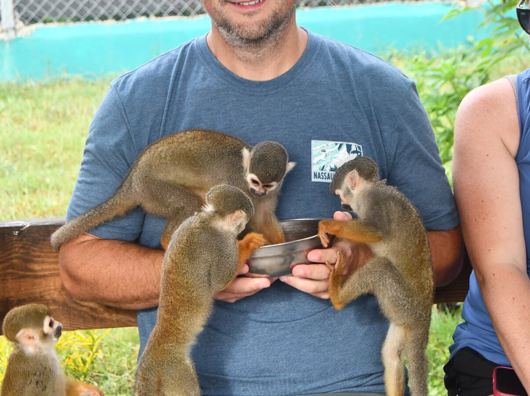 RV Tours DR-普拉塔港必去景点