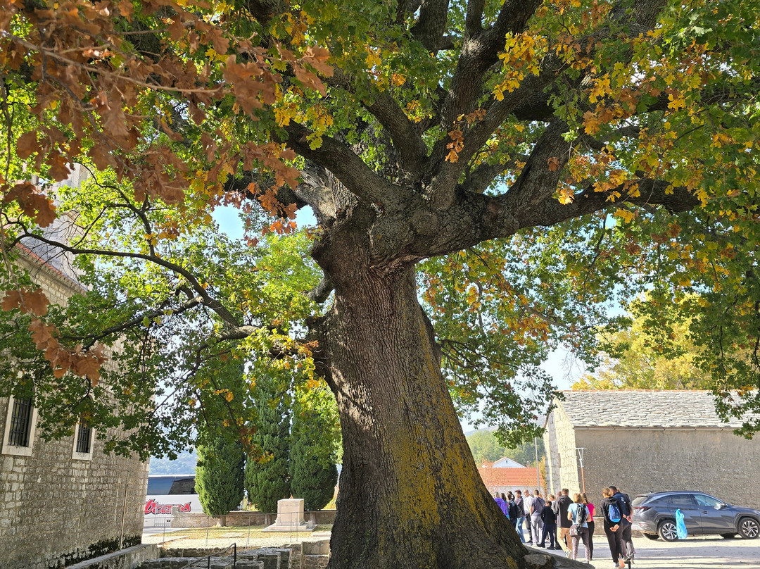 Cooltour-Gata必去景点