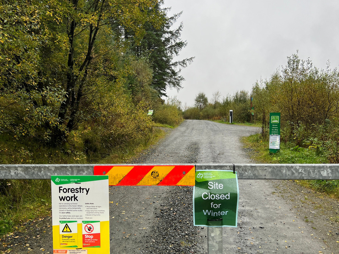 Three Lochs Forest Drive-Aberfoyle必去景点