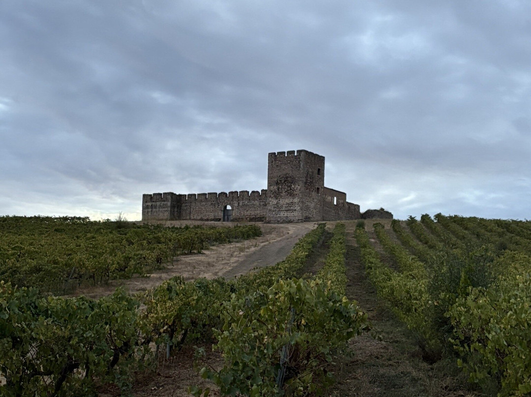 Castle of Valongo-埃武拉必去景点
