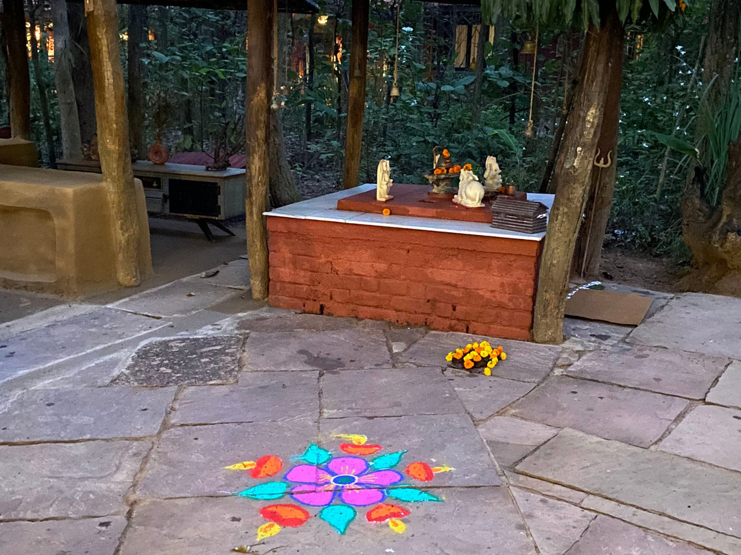 Kanha Jungle Lodge主图