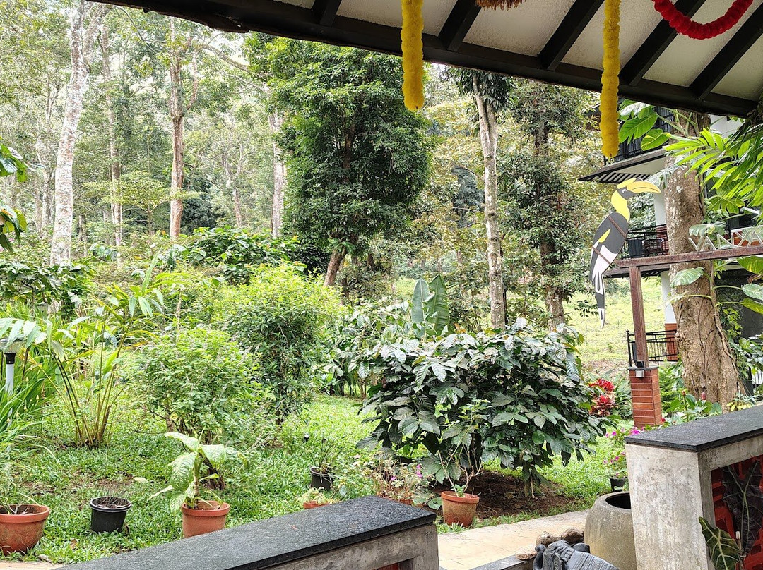 VANYA by Citrine主图