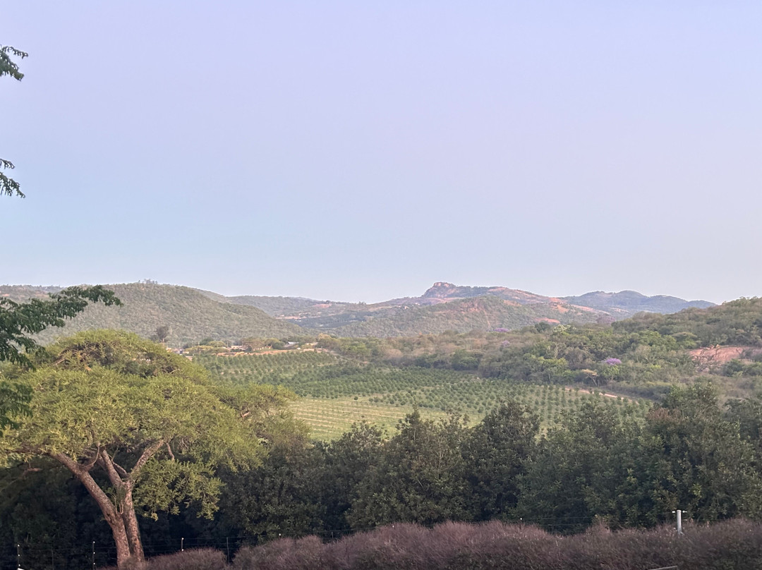 Pumbaa Wildpark And Accommodation-尼斯普鲁特必去景点