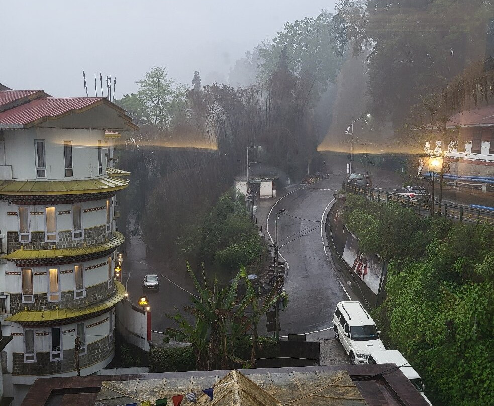 Yashshree Sikkim Blossom主图