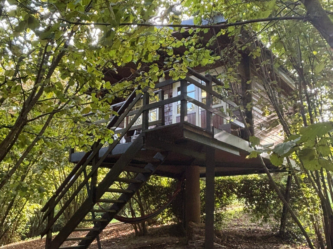 Eco Lodge Langhe主图