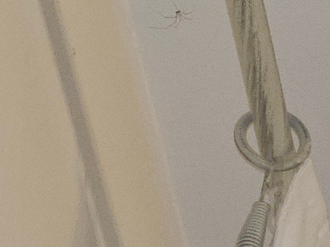 布拉伊达别墅酒店主图