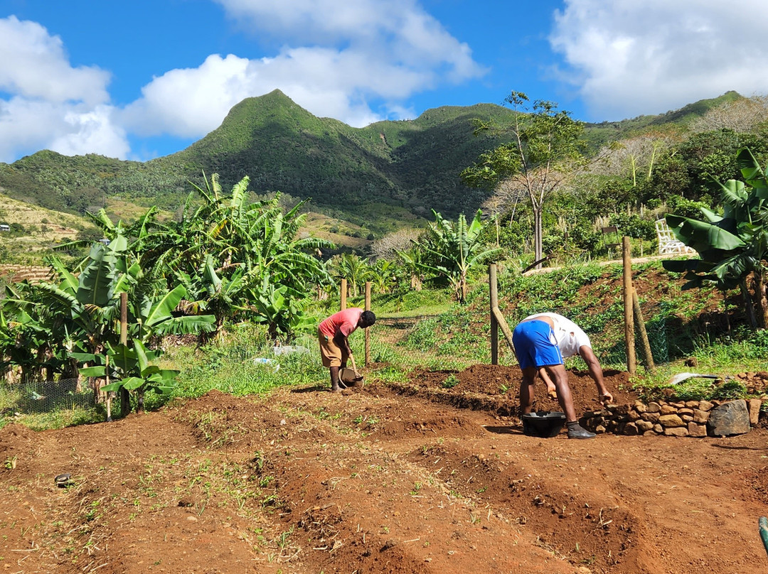 Terganic Farmstay-Bambous Virieux必去景点