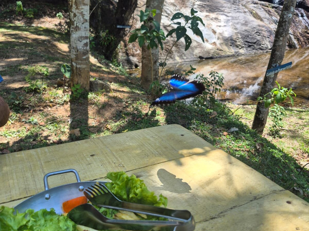 Vale das cachoeiras-Bananal必去景点