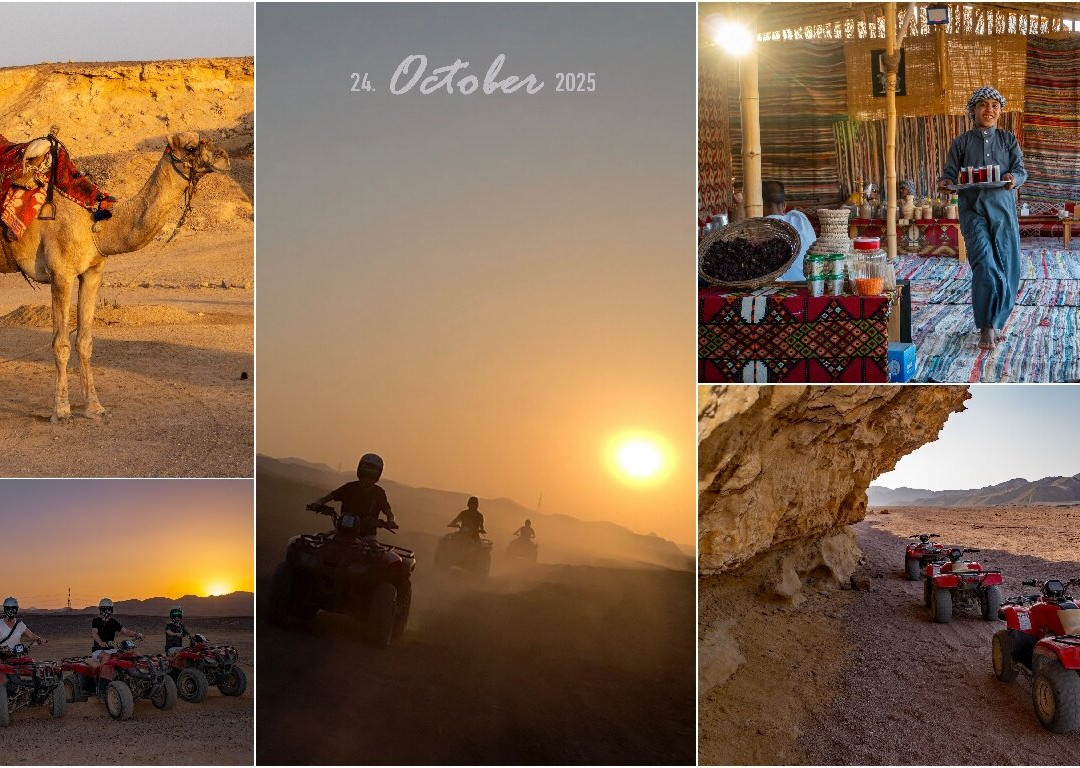 Chill tours-Port Safaga必去景点