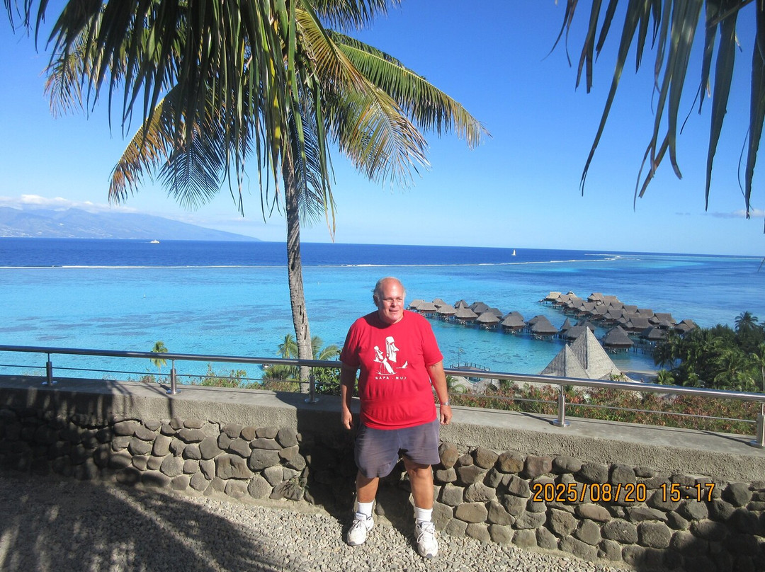 Toatea Lookout-莫雷阿岛必去景点
