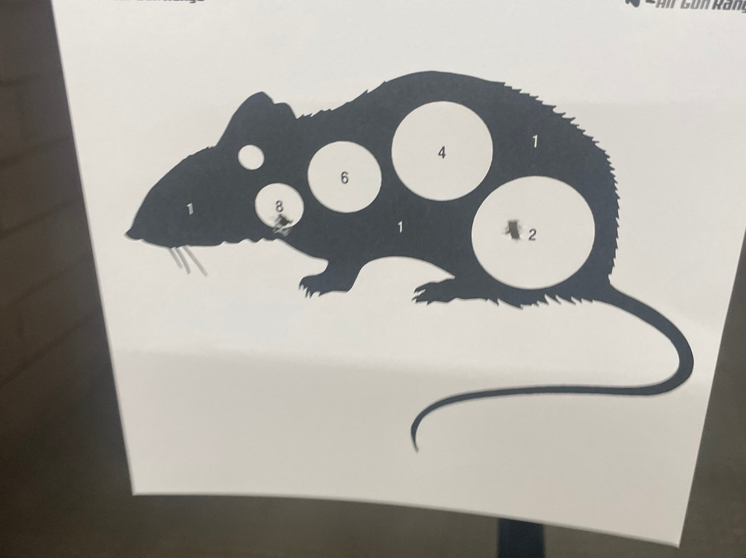 Alders Air Gun Range-米尔顿凯恩斯必去景点