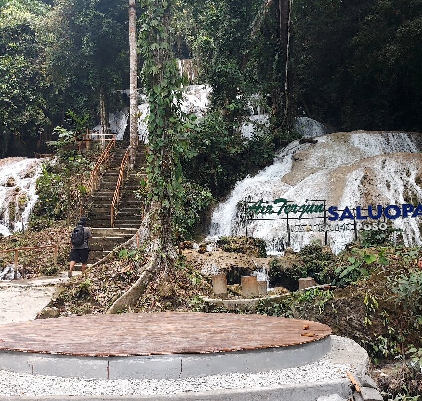 Tentena wildlife tour and Lorelindu national park-Tentena必去景点