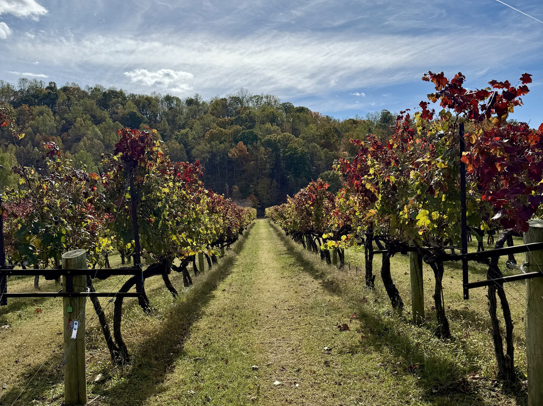 DuCard Vineyards-Etlan必去景点