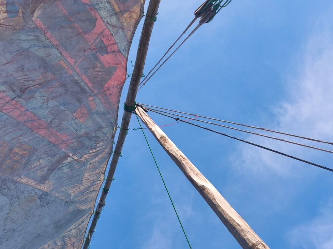 Nomadic Sails-Wasini Island必去景点