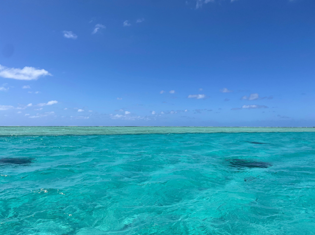 Slice Of Life-卓得多斯必去景点