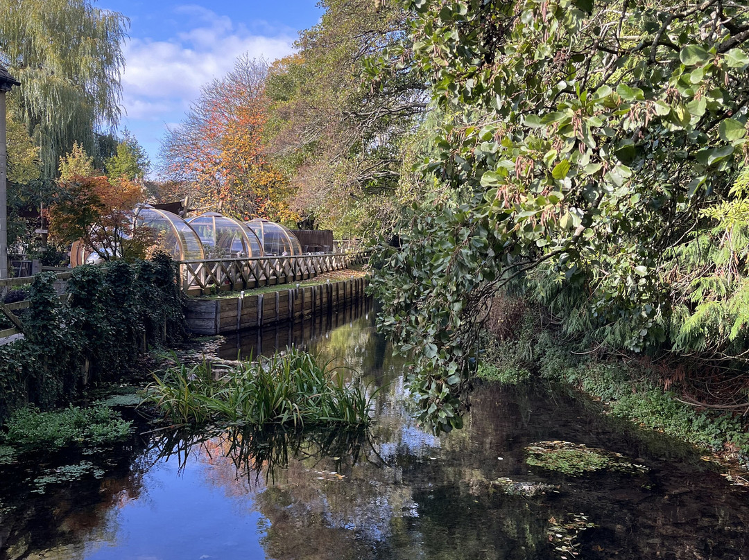 Wild Thyme & Honey主图