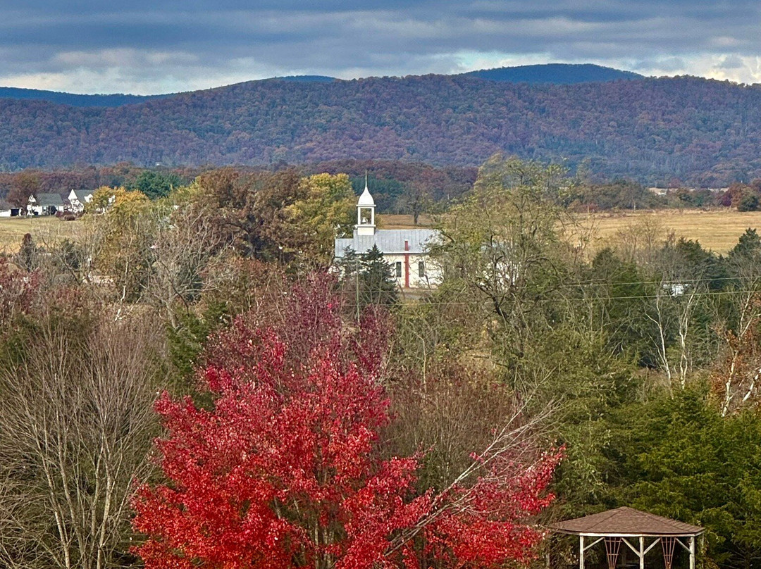 Wolf Gap Vineyard &  Winery-Edinburg必去景点