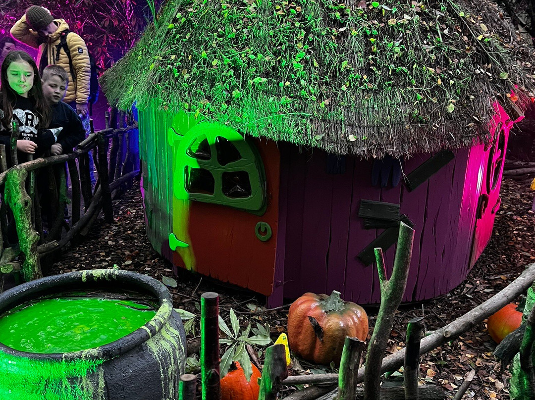 BeWILDerwood Cheshire-Whitchurch必去景点