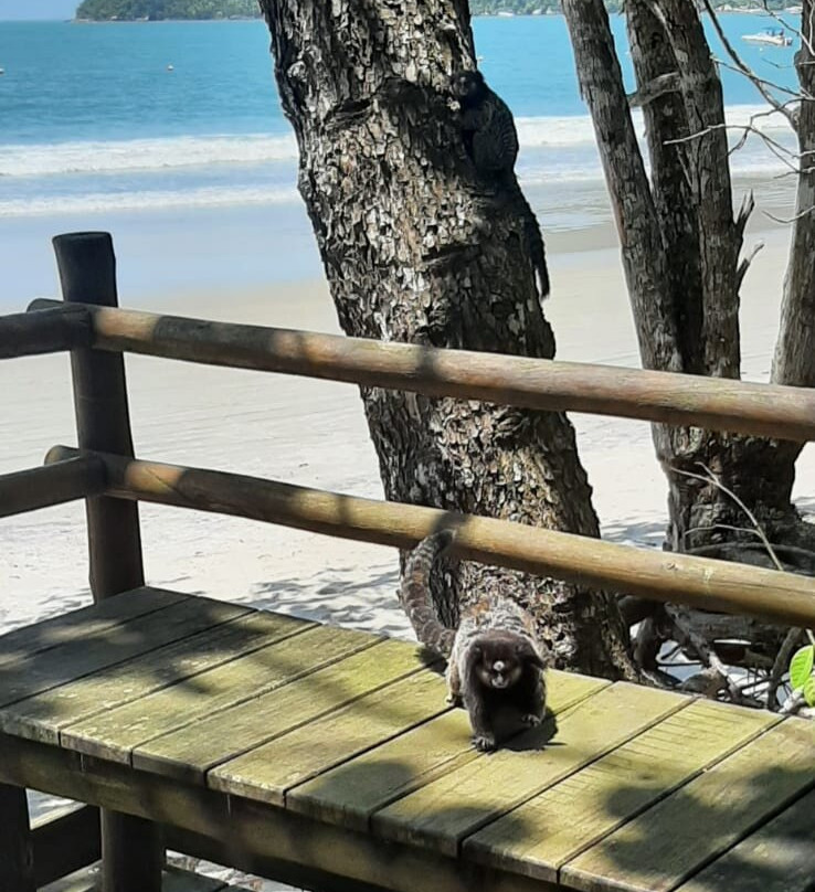 Ilha Anchieta State Park-乌巴图巴必去景点