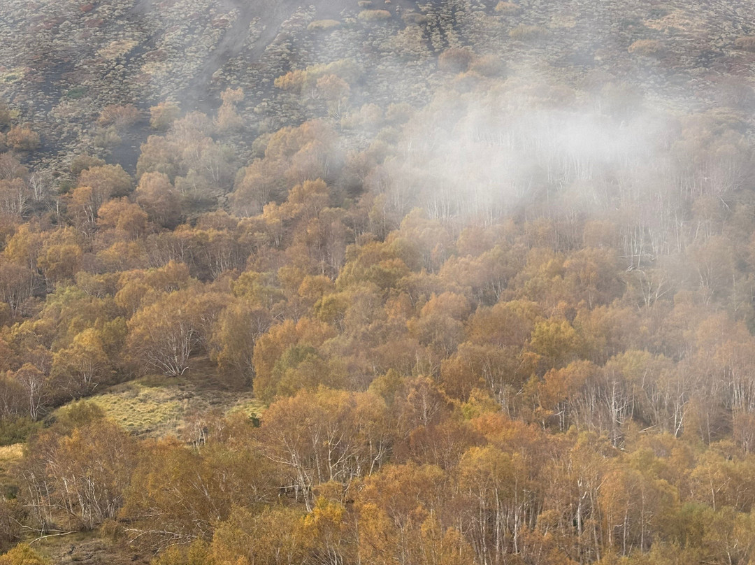 Sicily Active-陶尔米纳必去景点
