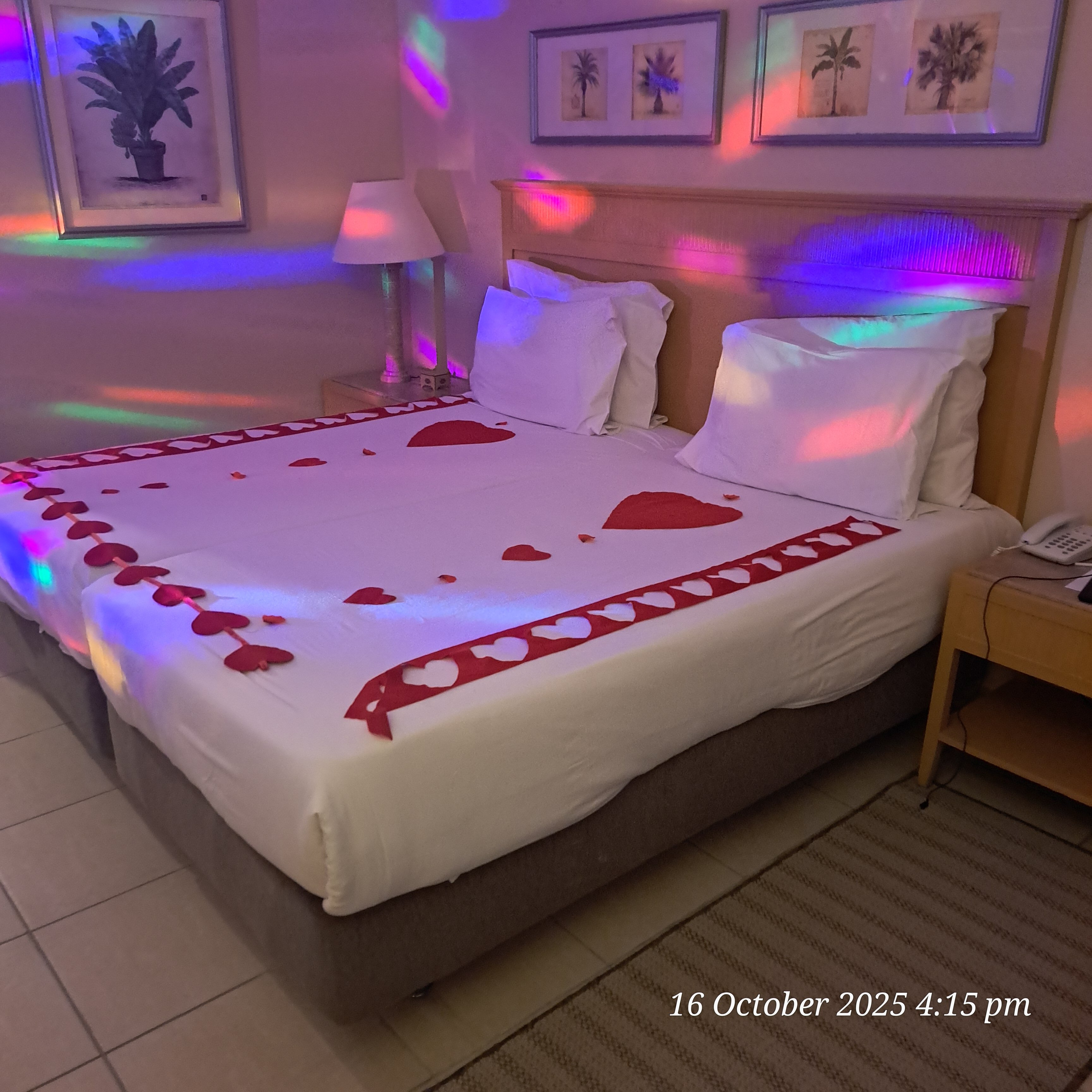 JAZ Makadi Star & Spa-客卧