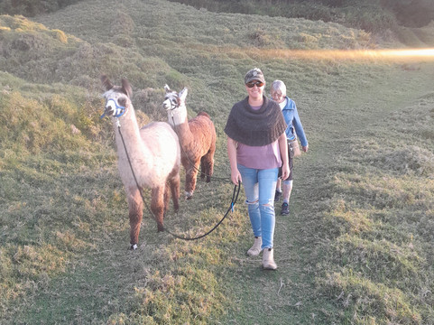 Maluhia Llamas-库拉必去景点