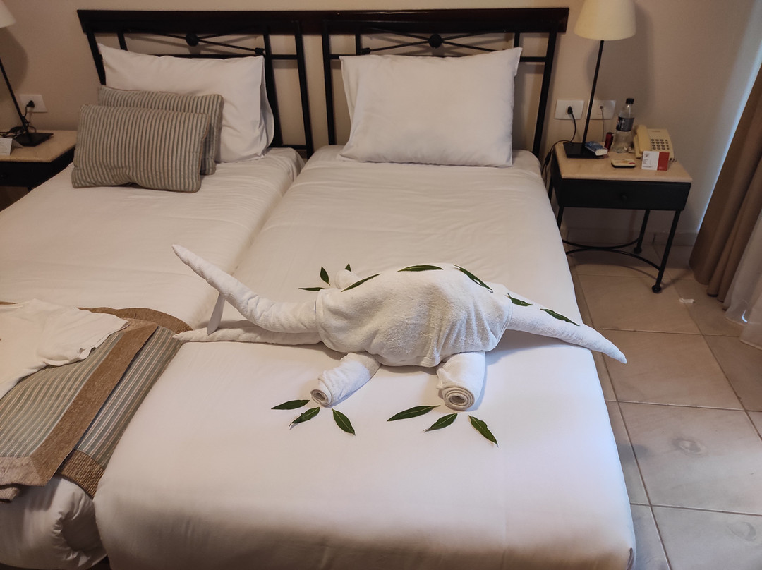 JAZ Neo Almazino, Almaza Bay主图