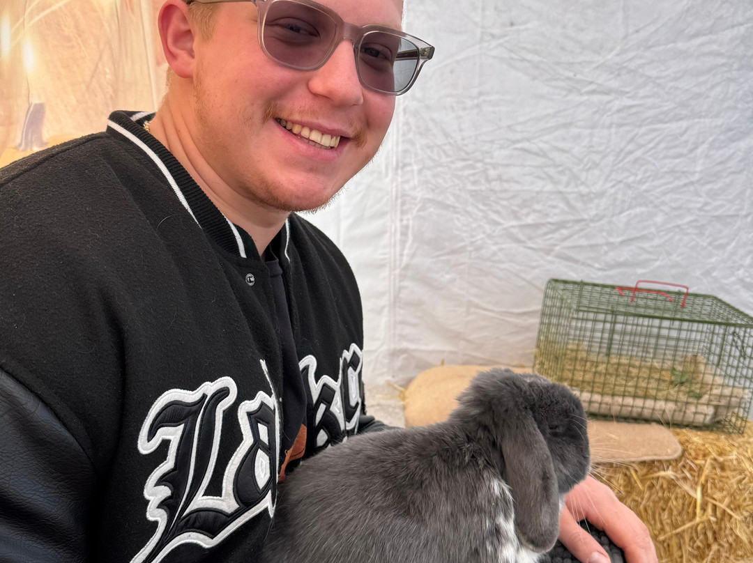 All Things Alpaca Ltd-切姆斯福德必去景点