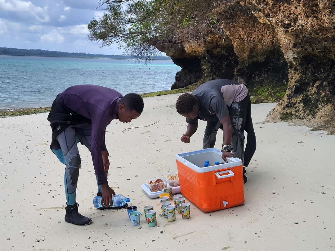 Afro Divers-奔巴岛必去景点