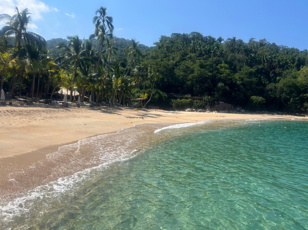 Vallarta Adventures-新瓦雅塔必去景点