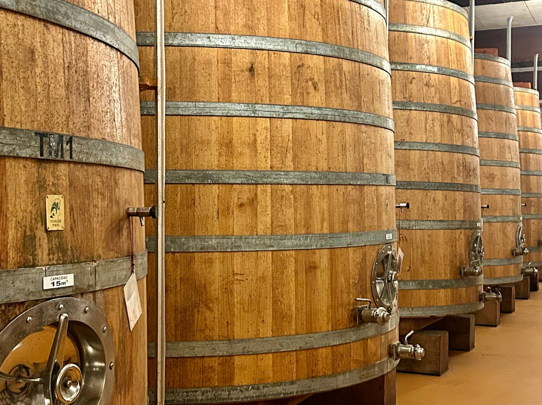 Bodegas Fariña-Toro必去景点