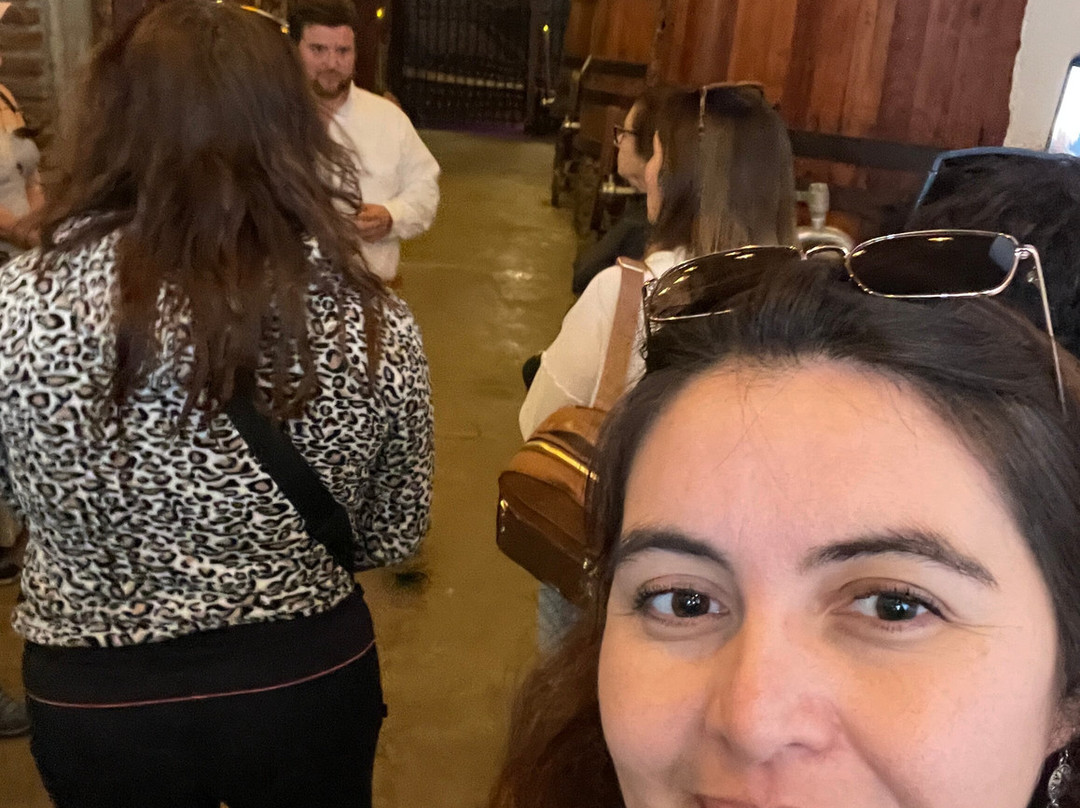 Viña Butron Budinich-兰卡瓜必去景点