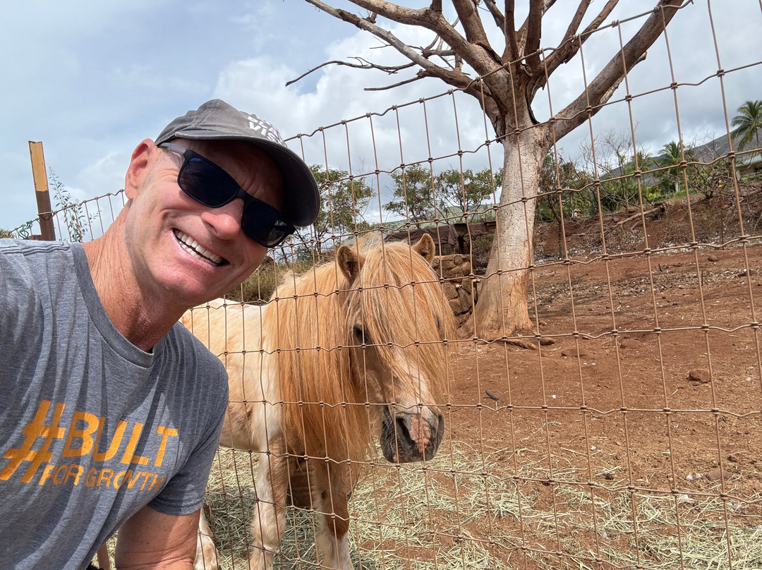 Maui Animal Farm-拉海纳必去景点