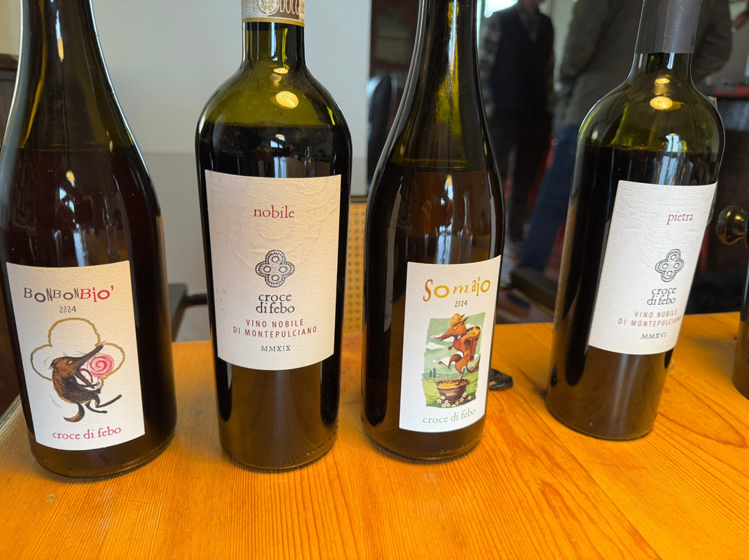 Montalcino Wine Tours-蒙塔尔奇诺必去景点