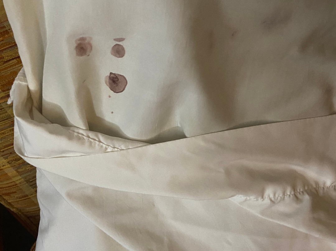 桃子树旅馆主图