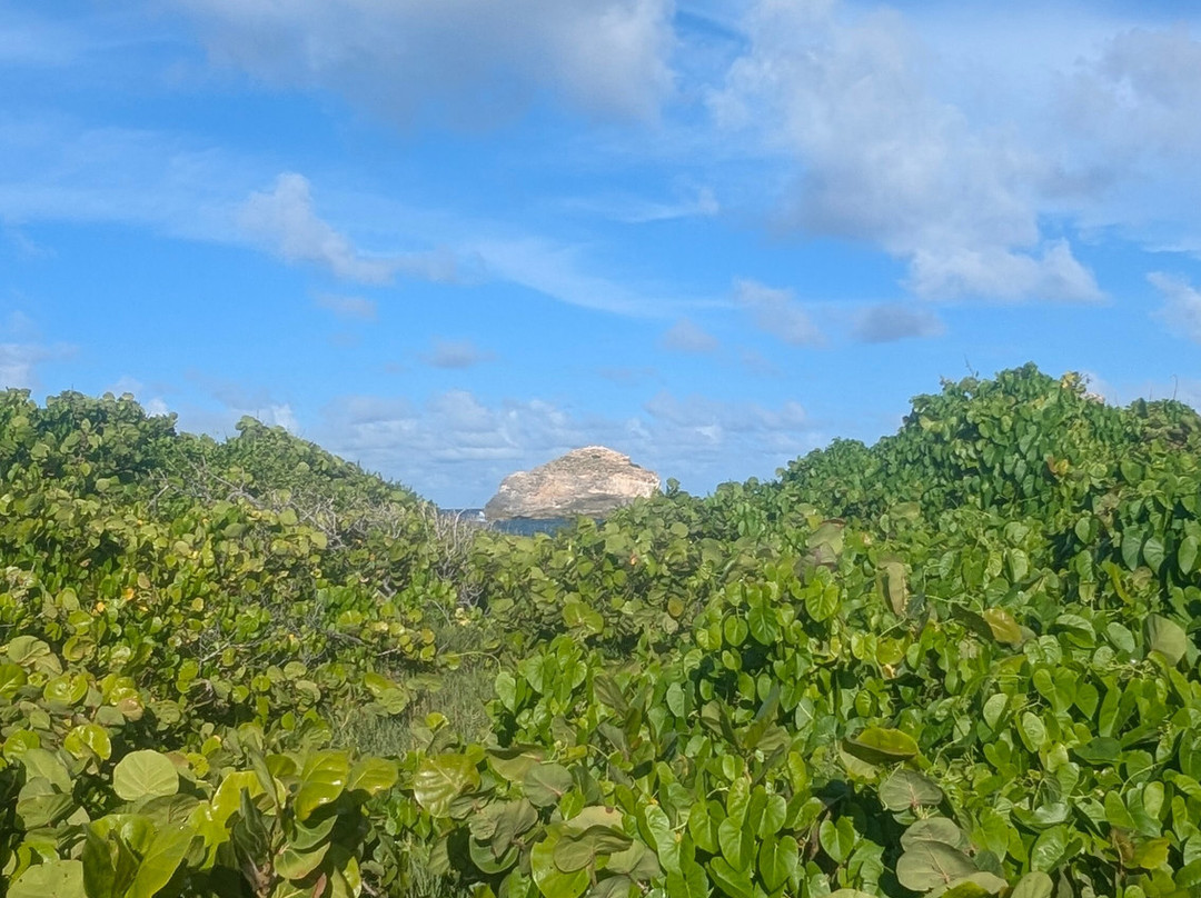 Pointe des Chateaux-Saint Francois必去景点