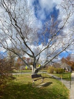 Swasey Parkway-埃克塞特必去景点