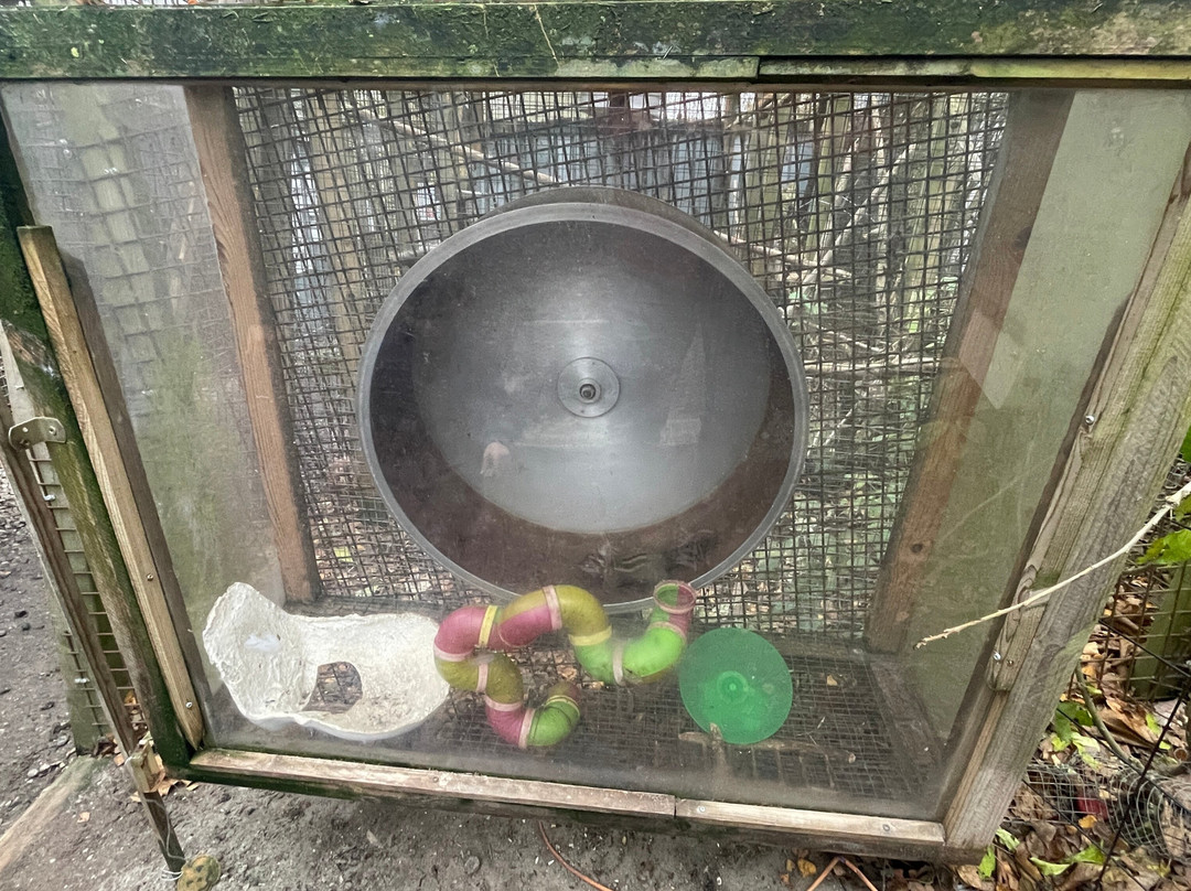 Monkey World-希勒洛必去景点