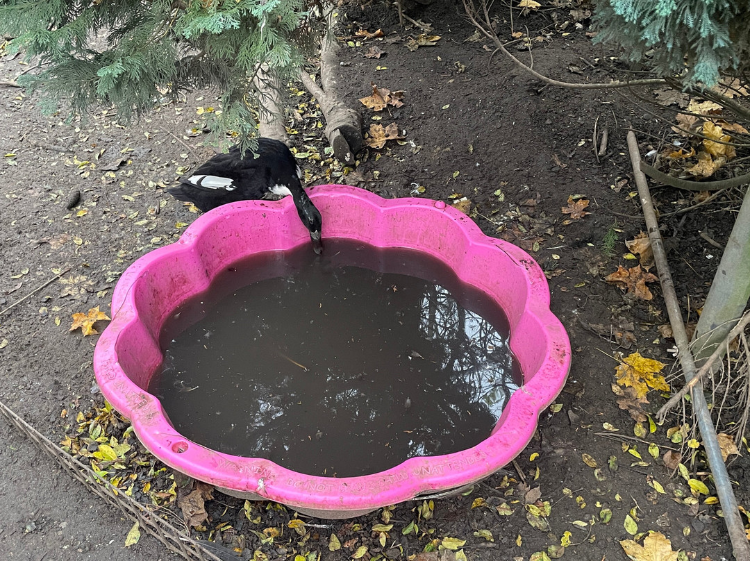 Monkey World-希勒洛必去景点