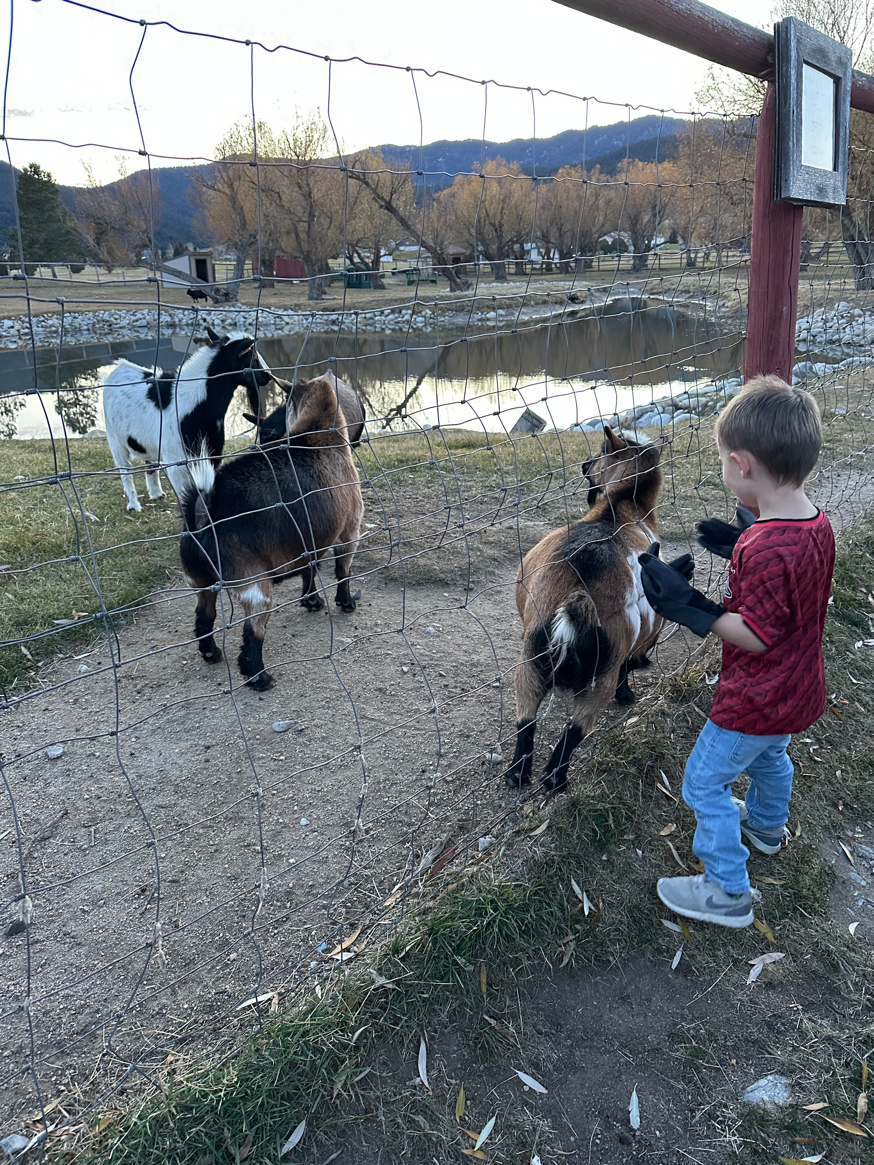 Fairmont Hot Springs Resort-官方