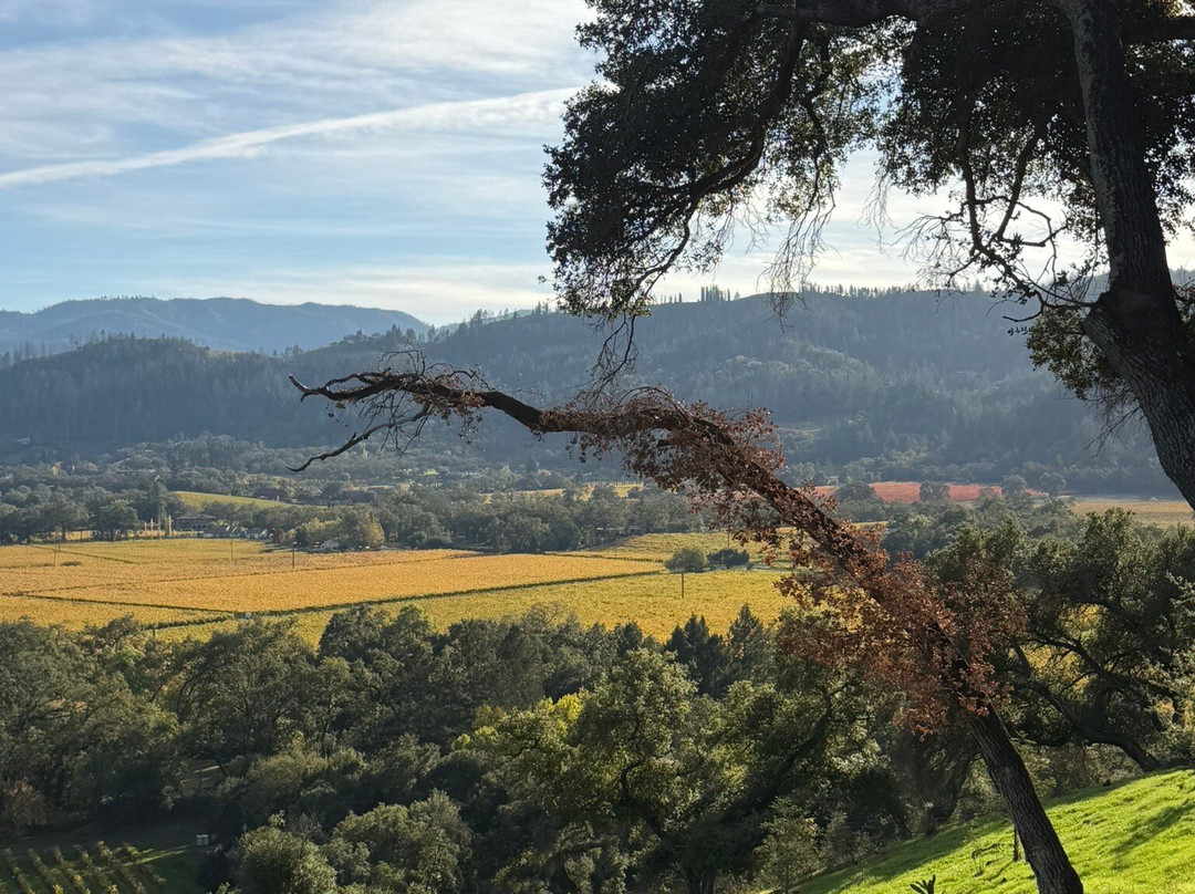 Rombauer Vineyards-圣海伦娜必去景点