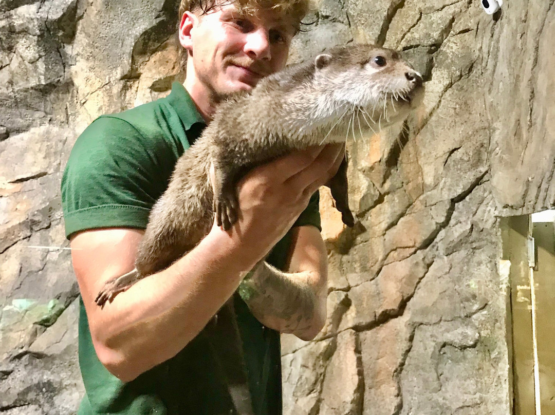 Rainforest Adventures-塞维尔维尔必去景点