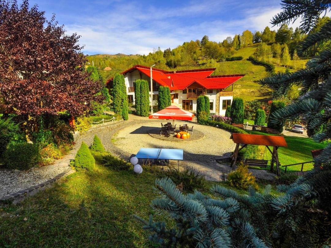 Borsa酒店住宿-Pensiunea Eladi