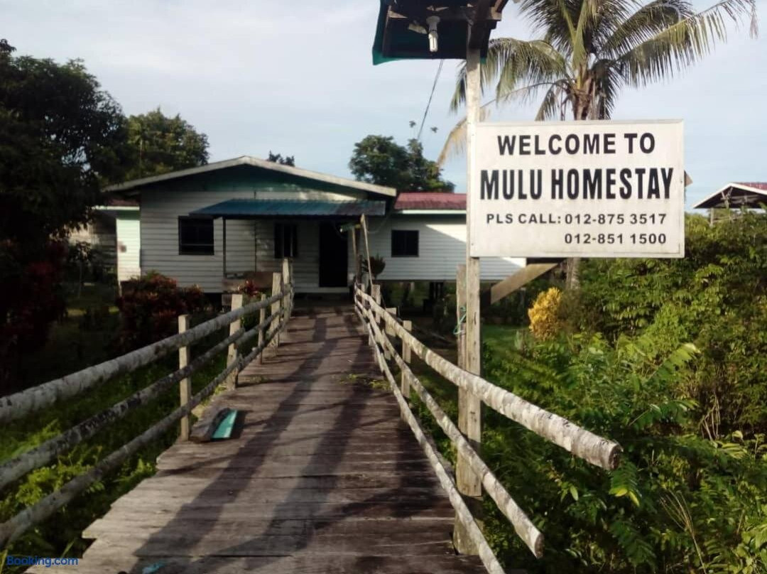 Mulu Tribal Homestay主图