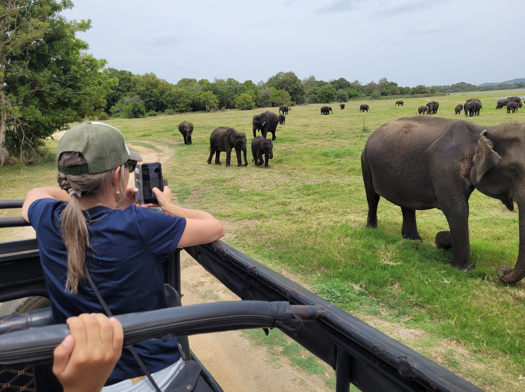 Ceylon Charming Travels-卡尔皮蒂耶必去景点