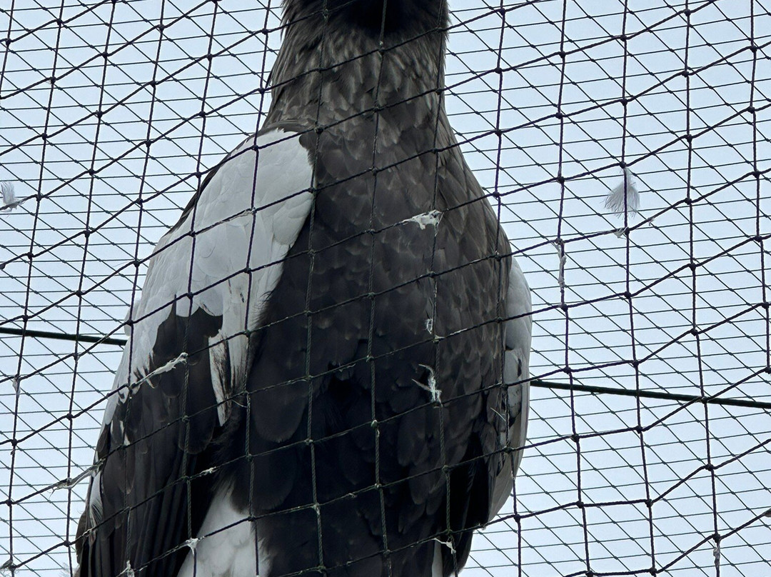 Vogelpark Avifauna-Alphen aan den Rijn必去景点
