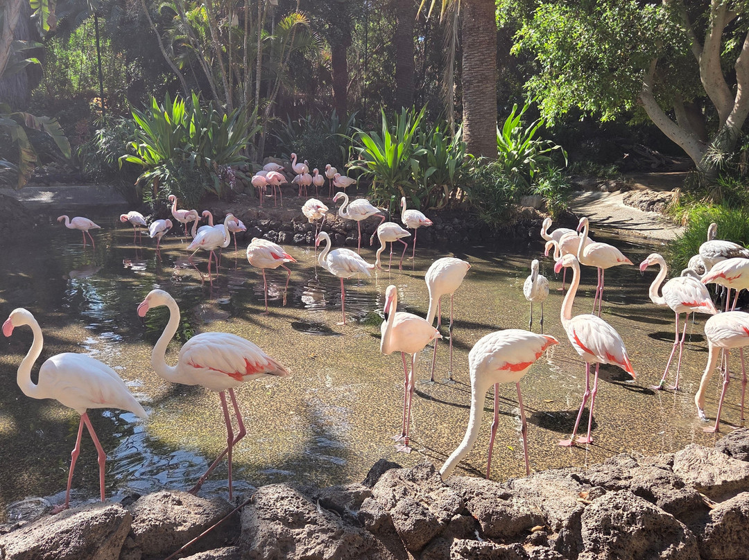 Jardin Botanico-La Lajita必去景点