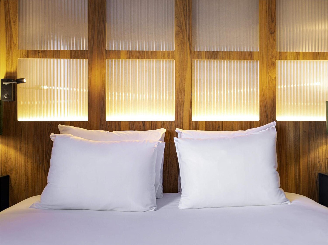 Ibis St Etienne Gare TGV主图