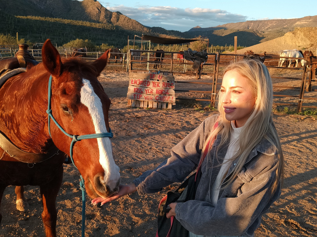 Arizona Horseback Adventures at Spur Cross-洞溪必去景点